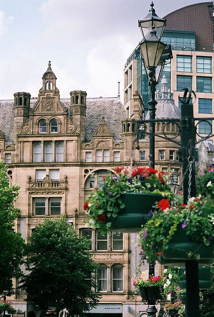 8bf869f0b582b58136378fdb0fe90c8c.jpg image